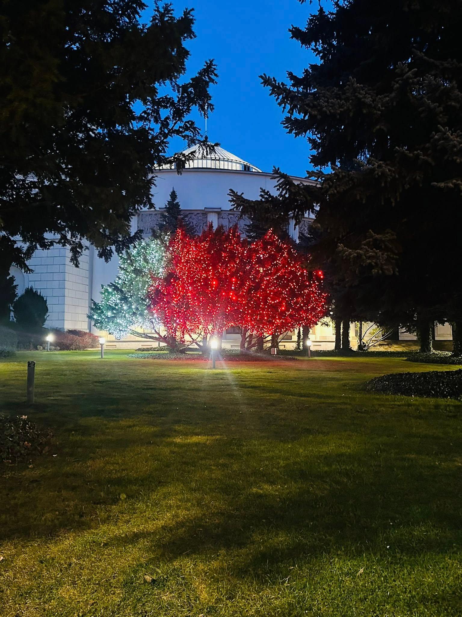 konferencja